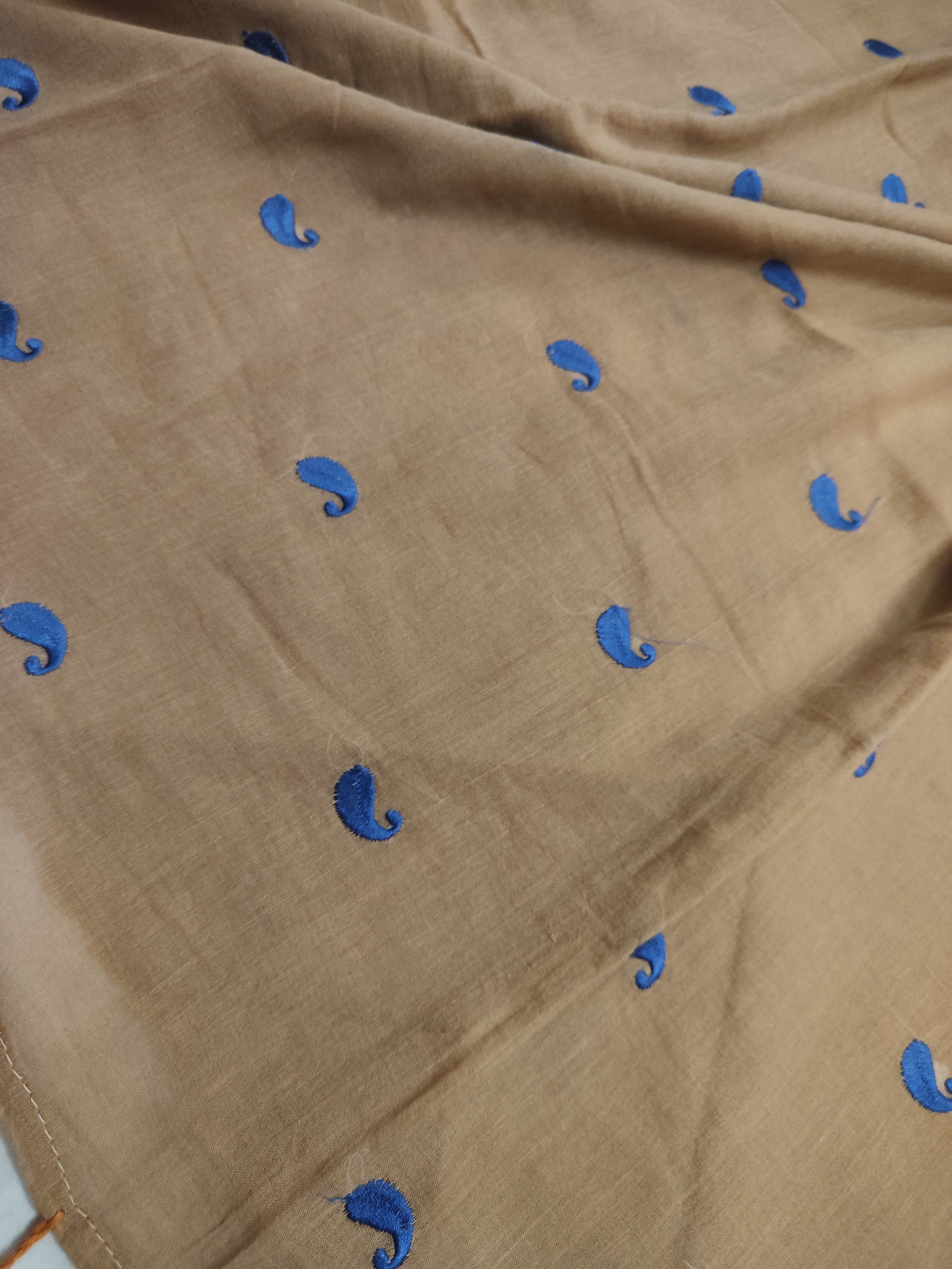 Amber mul cotton saree with paisley machine embroidery